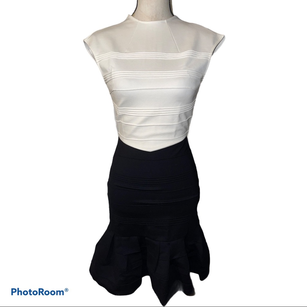 Ted Baker | Form Fitting Color Block Dress